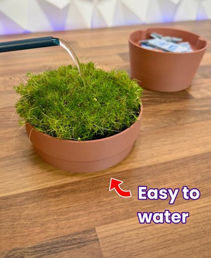 Plant Pot Organizer